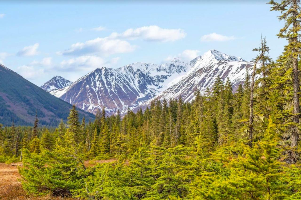 Apartmán Timberline 208 Girdwood Exteriér fotografie